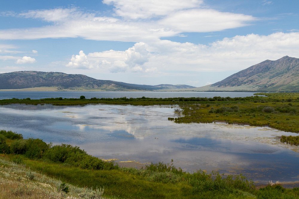 Henry’s Lake