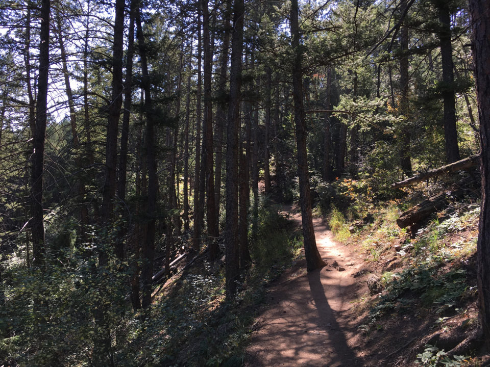 Lookout Mountain Trail